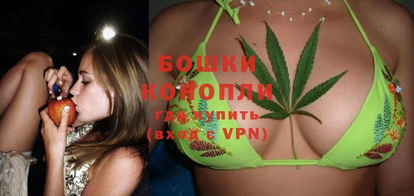 PSILOCYBIN Бугульма