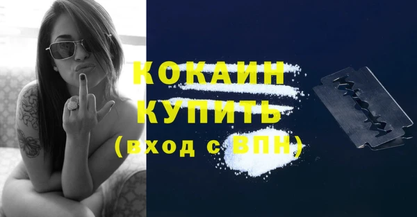 гашик Бородино