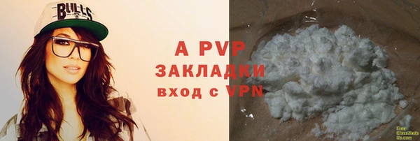 гашик Бородино