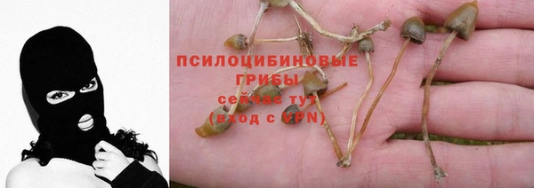 сатива Бронницы