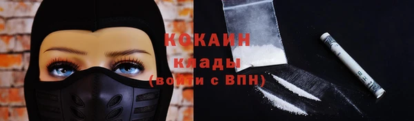 сатива Бронницы