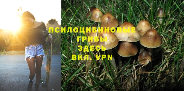сатива Бронницы