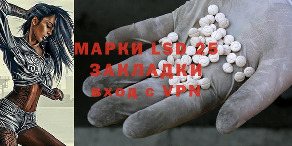 PSILOCYBIN Бугульма