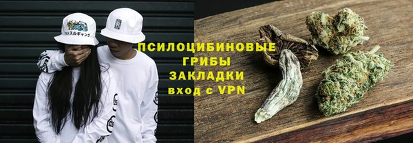 PSILOCYBIN Бугульма