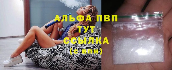 гашик Бородино