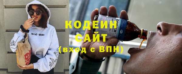 гашик Бородино