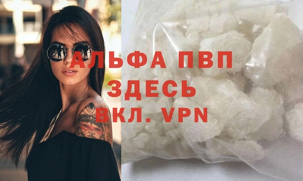 гашик Бородино