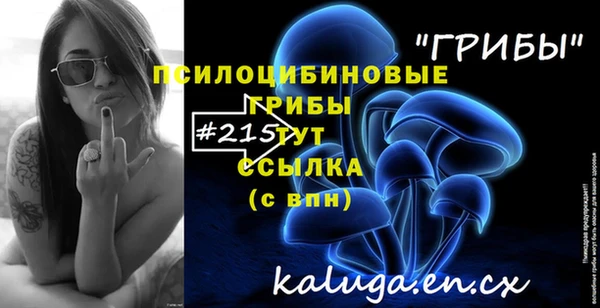 гашик Бородино