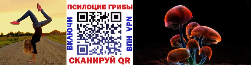 Псилоцибиновые грибы GOLDEN TEACHER Торжок