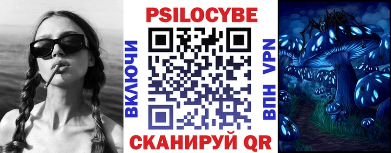 даркнет клад  Торжок  Галлюциногенные грибы мицелий 
